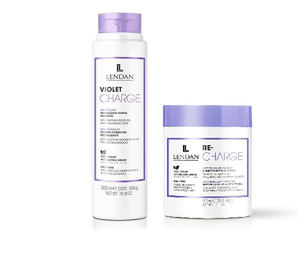 Violet Shampoo 300ml + Mask 500ml V3280