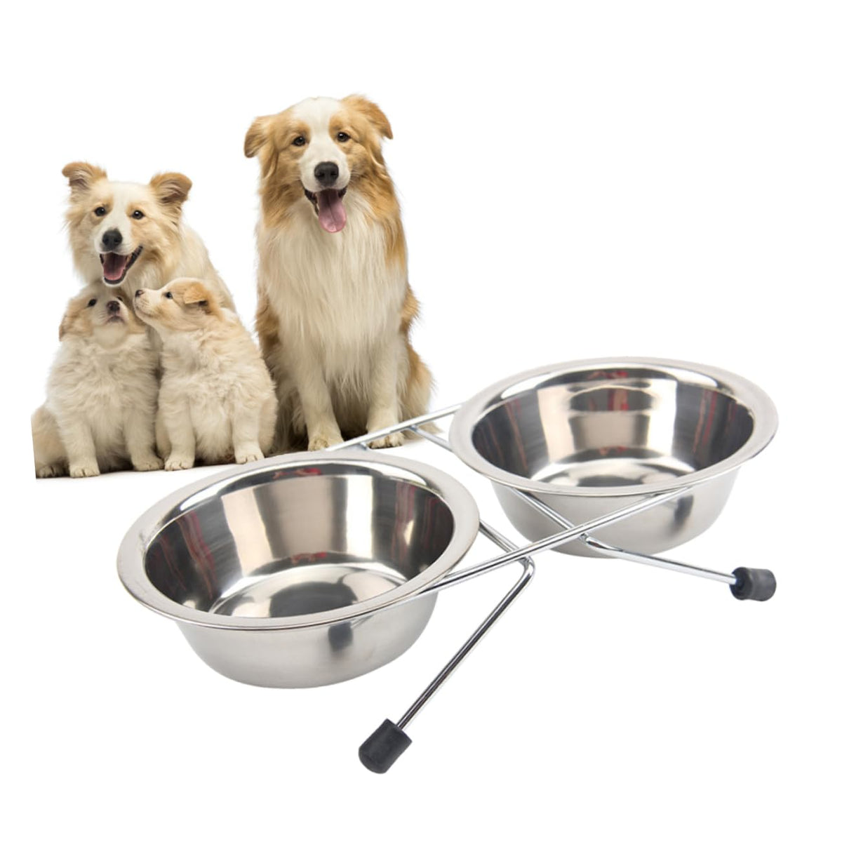 Stainless Steel Dog Cat Bowls Set K982
