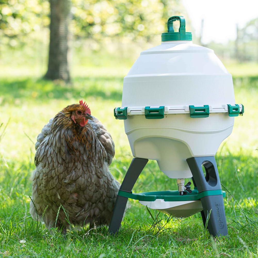 6 Gallon Top Fill Gravity Fed Poultry Waterer D86711