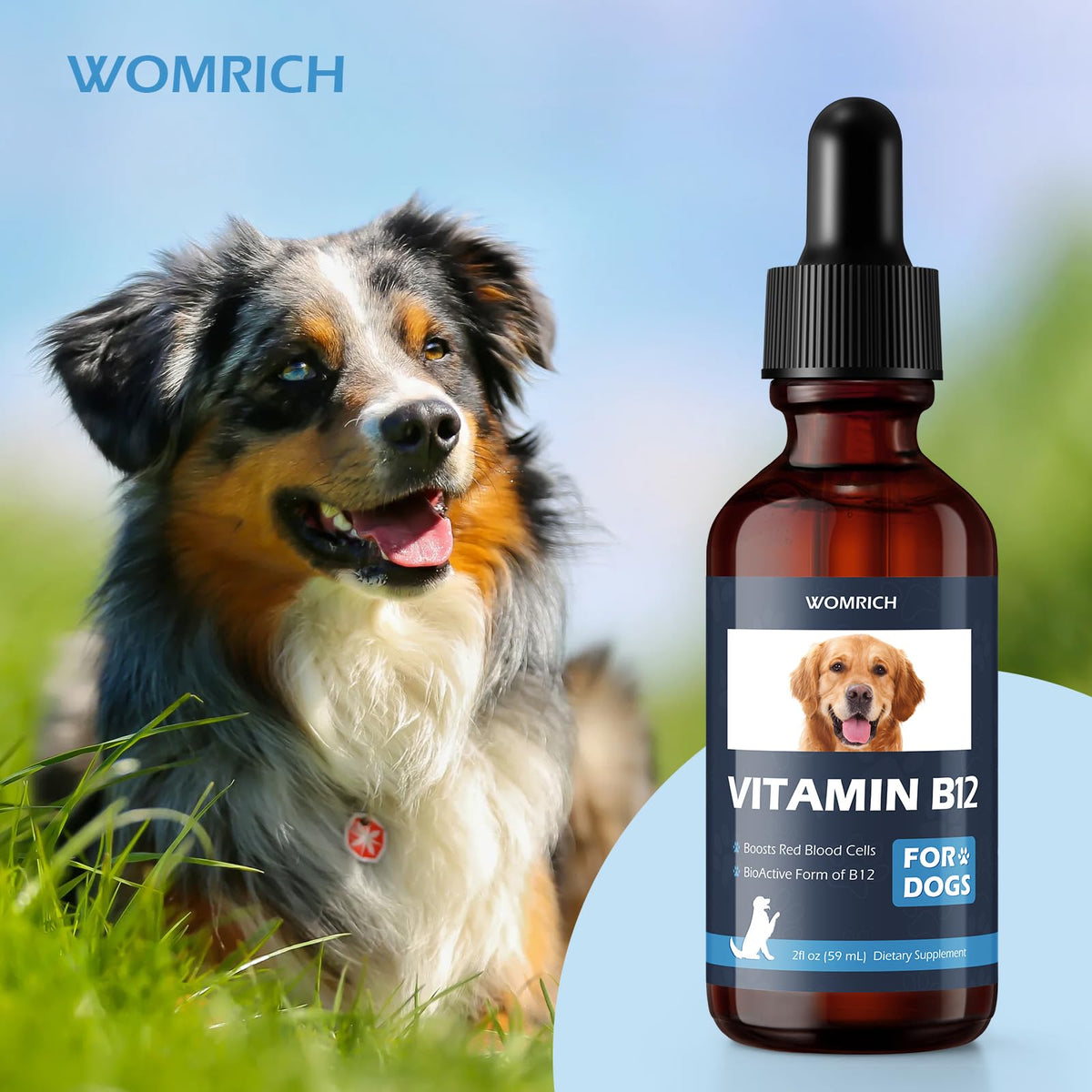 Vitamin B12 for Dogs R7723