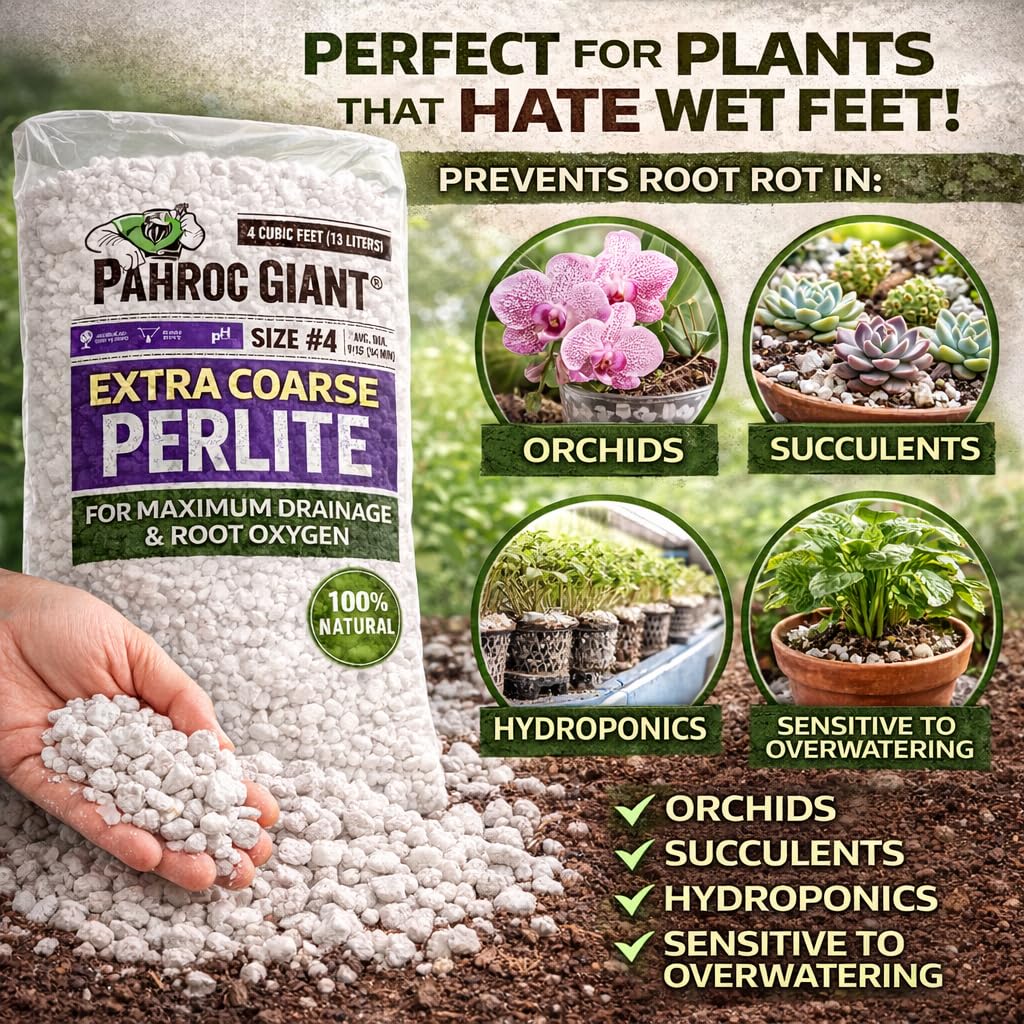 Perlite 4 CF Super Coarse Z21983