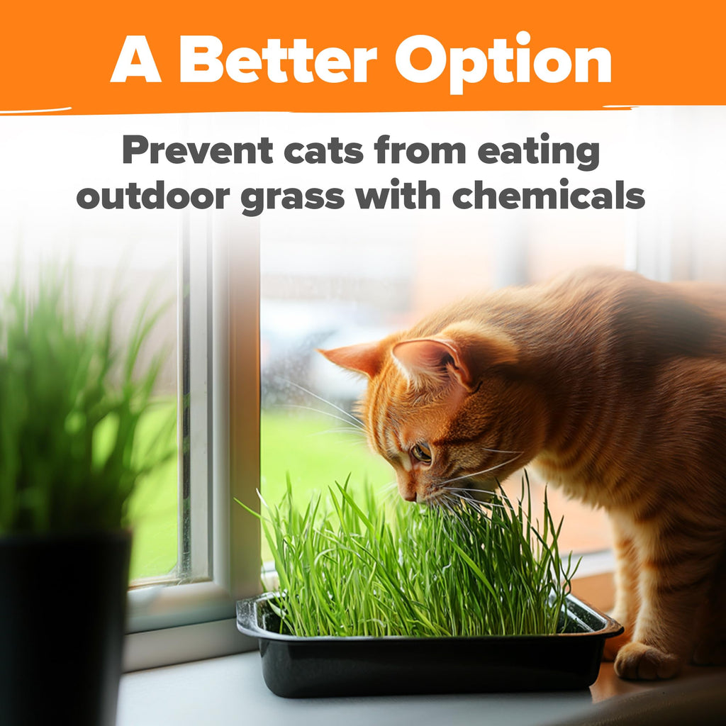 Cat Grass Seeds 4 oz Oat & Barley Mix R999210