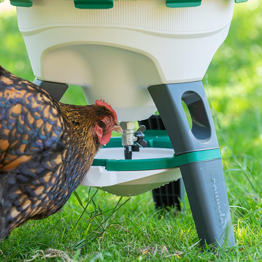 6 Gallon Top Fill Gravity Fed Poultry Waterer D86711