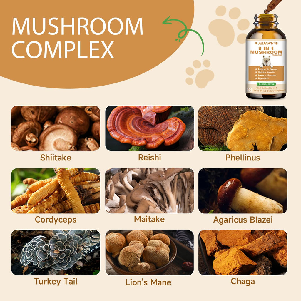 9 in 1 Mushroom for Dogs S1143