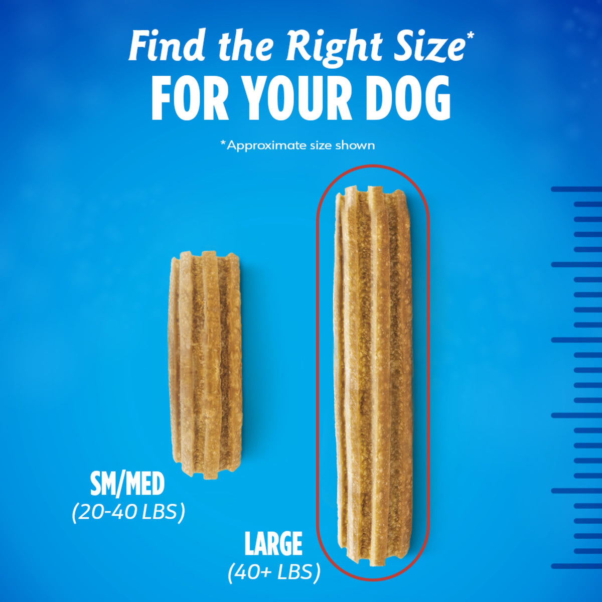 Large Dog Treats N619025