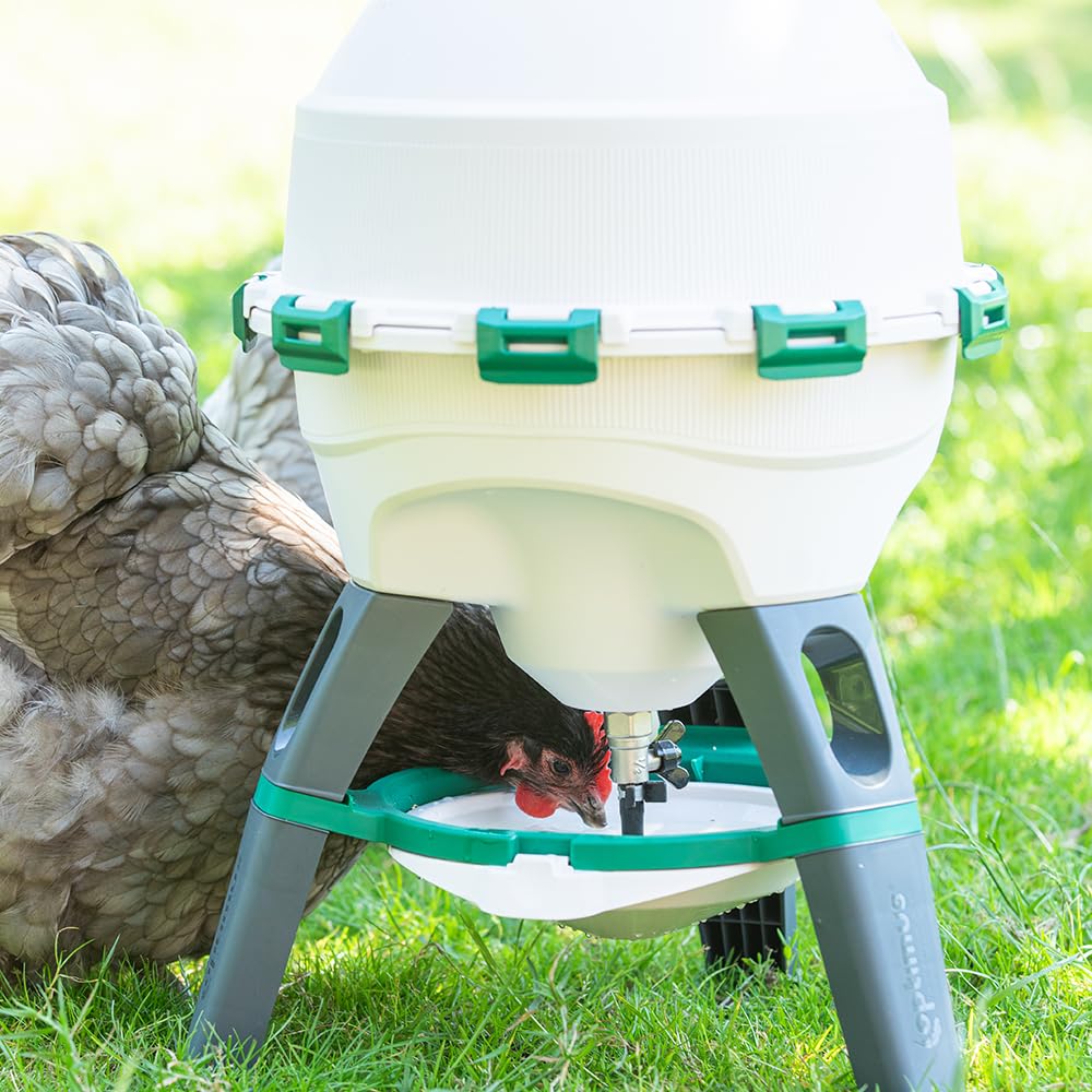 6 Gallon Top Fill Gravity Fed Poultry Waterer D86711