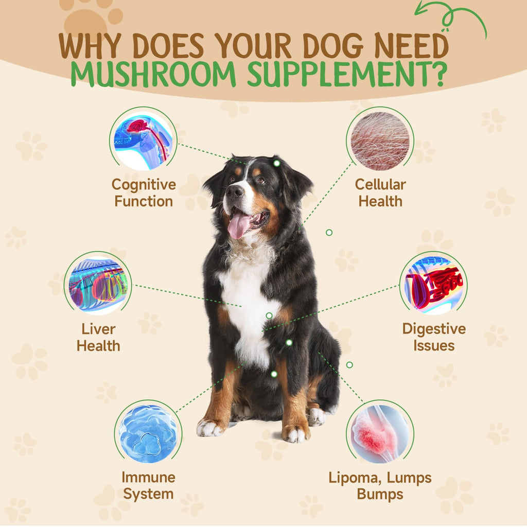 9 in 1 Mushroom for Dogs S1143