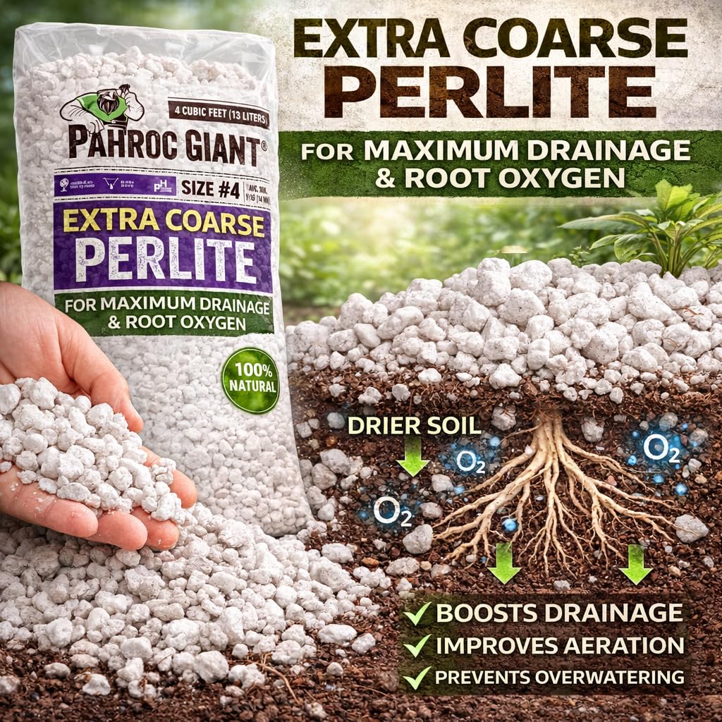 Perlite 4 CF Super Coarse Z21983