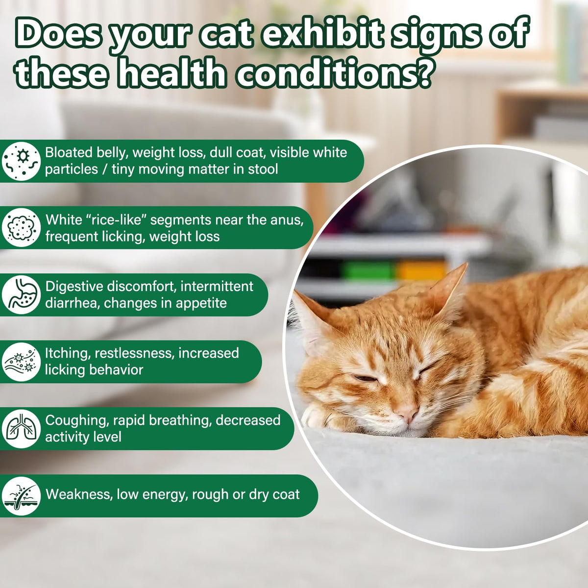 Broad Spectrum Cat Dewormer H56078