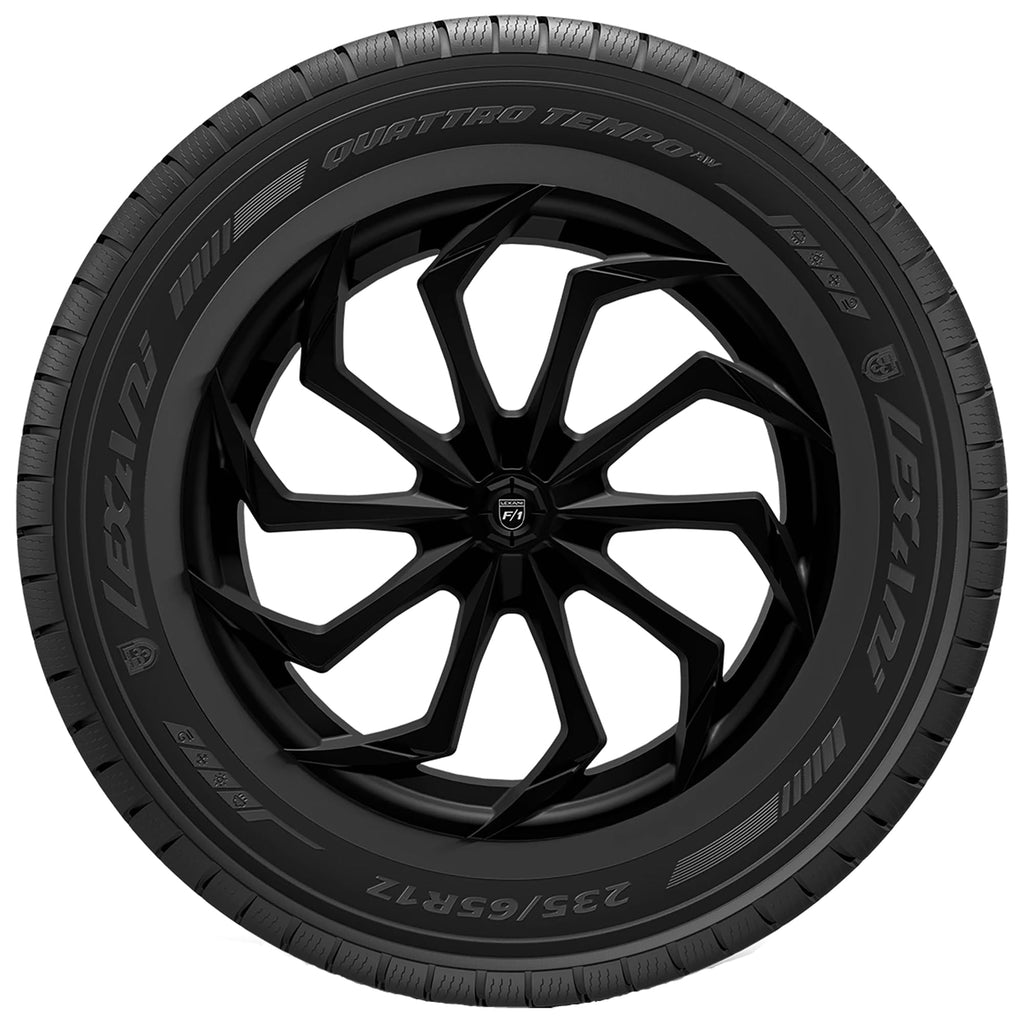 All Season P205/65R15 94H Passenger Tire L902365