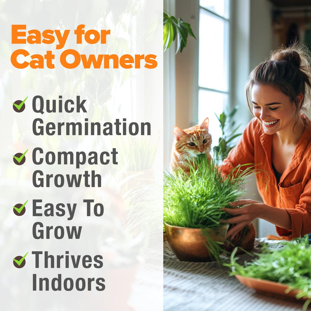 Cat Grass Seeds 4 oz Oat & Barley Mix R999210