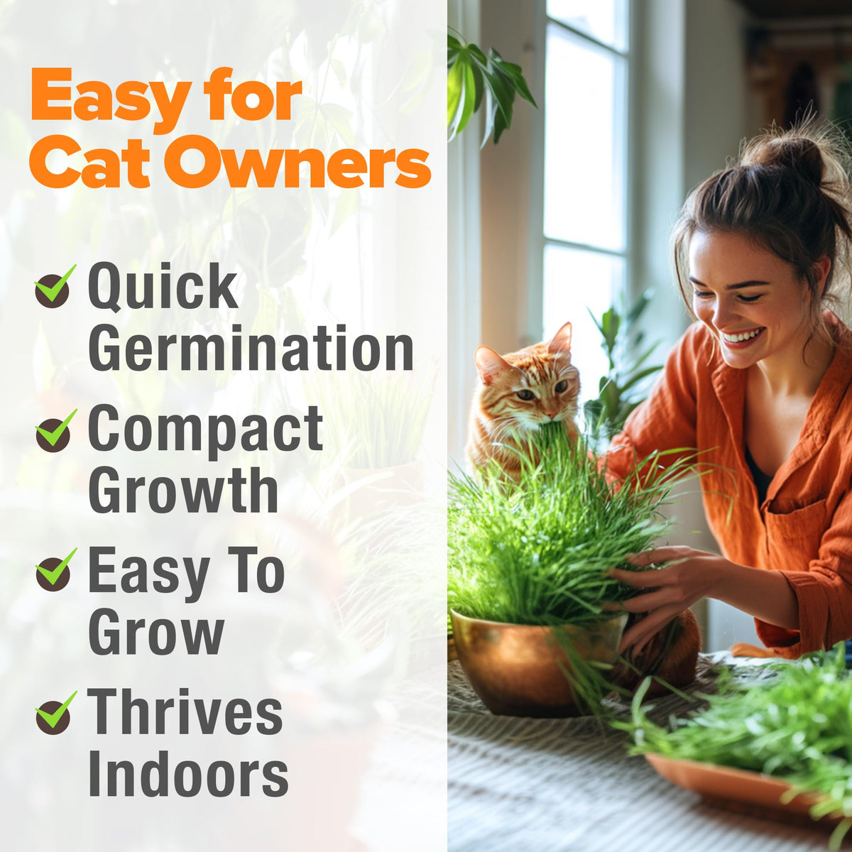 Cat Grass Seeds 4 oz Oat & Barley Mix R999210