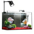 3 Gallon Ultra-Clear Glass Fish Tank with Filter and Led Light P584570