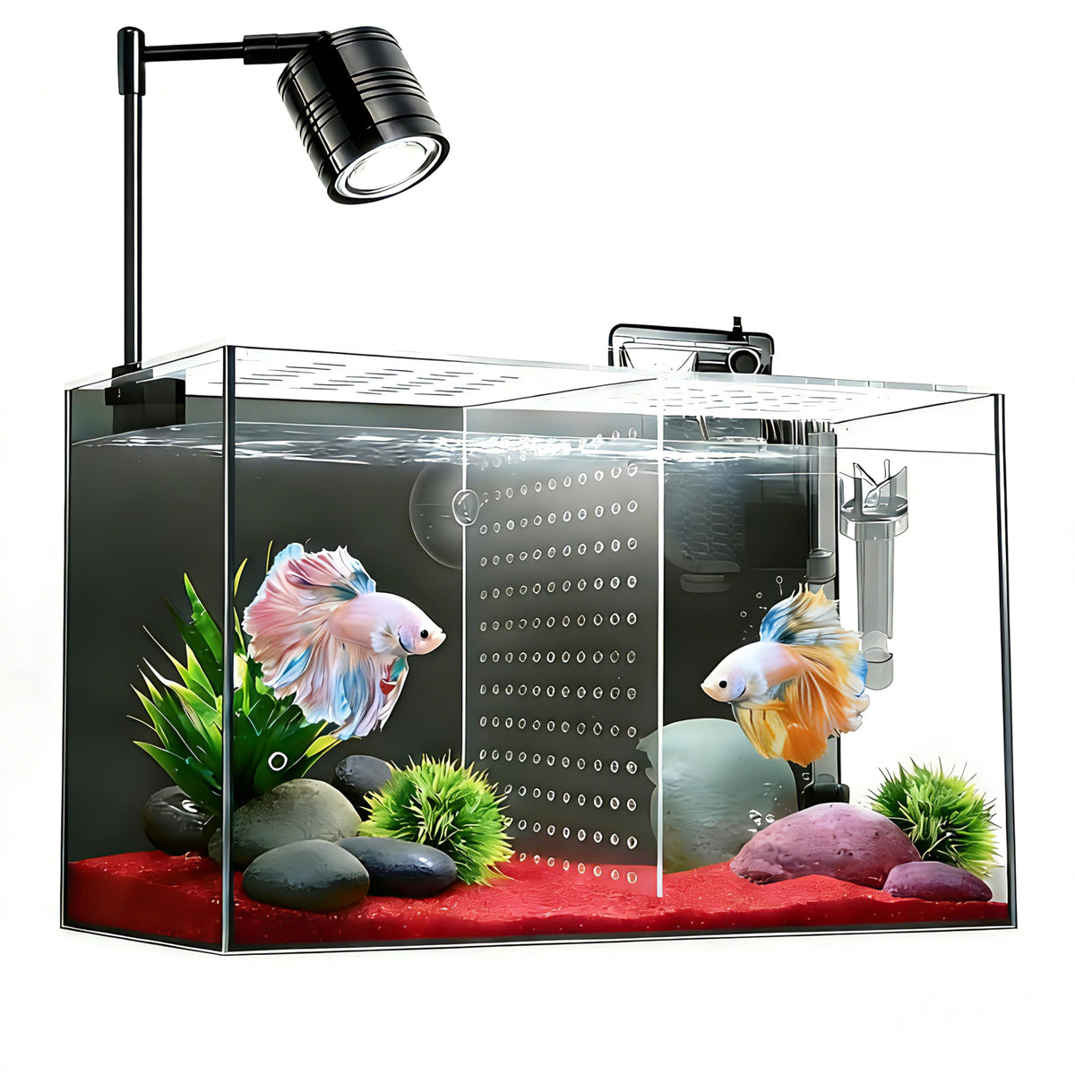 3 Gallon Ultra-Clear Glass Fish Tank with Filter and Led Light P584570