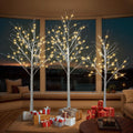 White Birch Tree Set with 246 LED Lights F317159