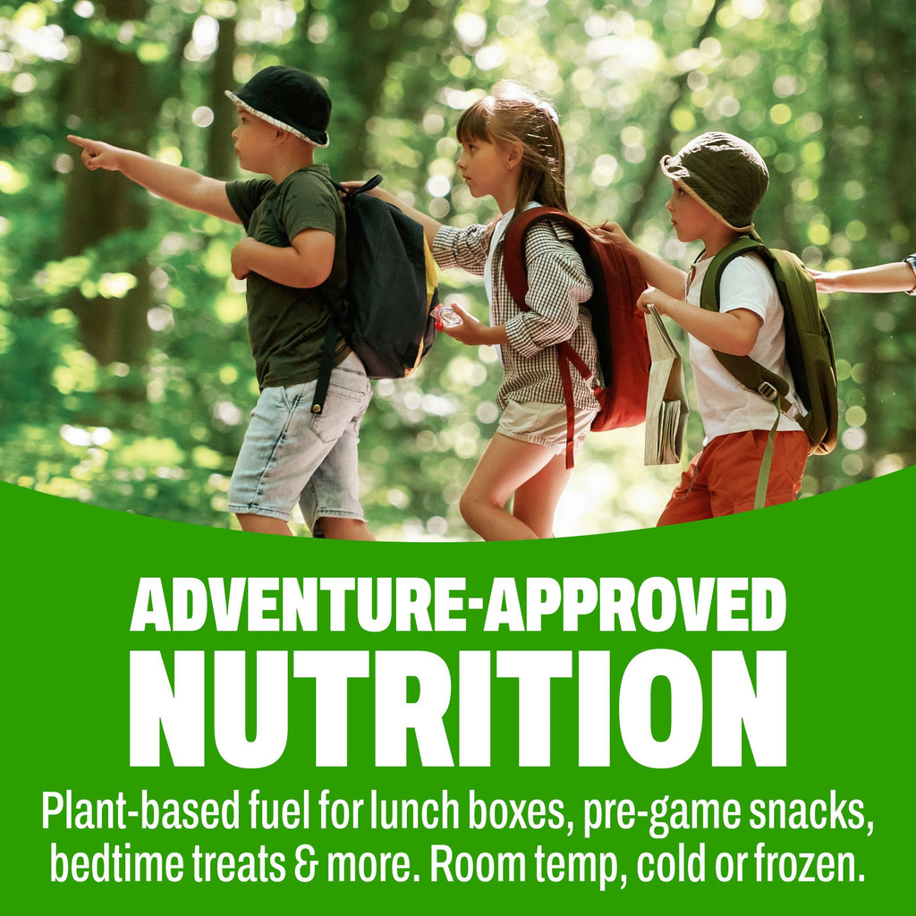 Organic Vegan Kids Protein Shakes Chocolate 8 Fl Oz 12 Pack G3307