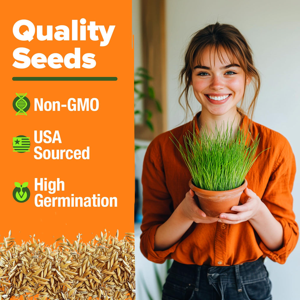 Cat Grass Seeds 4 oz Oat & Barley Mix R999210