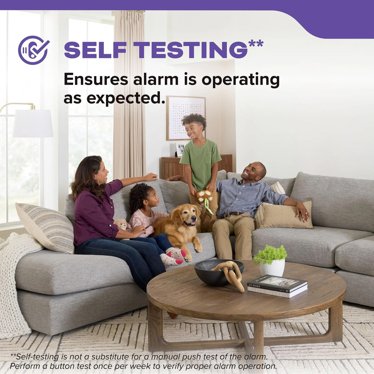 Smoke & Carbon Monoxide Alarm, Battery Powered Combo Detector C66610