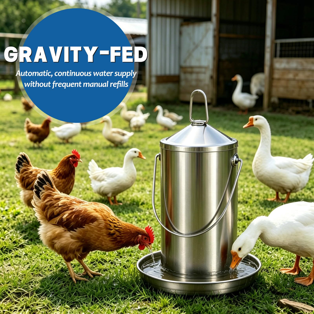 Stainless Steel Chicken Waterer G29353